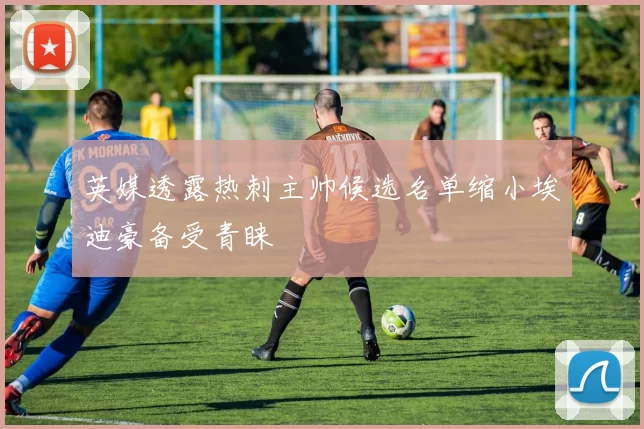 英媒透露热刺主帅候选名单缩小埃迪豪备受青睐