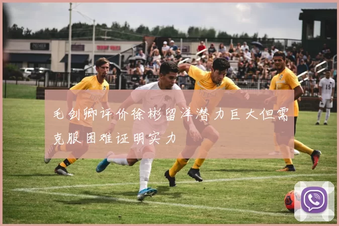 毛剑卿评价徐彬留洋潜力巨大但需克服困难证明实力