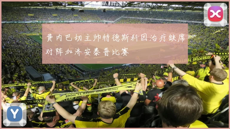费内巴切主帅特德斯科因治疗缺席对阵加济安泰普比赛