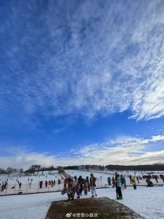 草地滑雪风驰电掣，速度创纪录